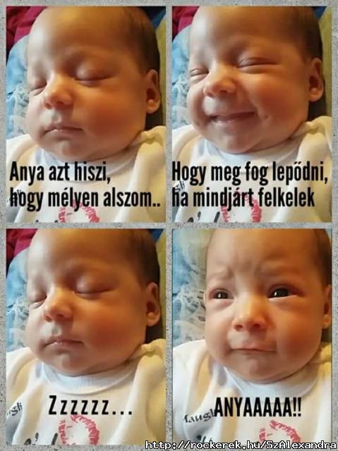 FB_IMG_1517781254882