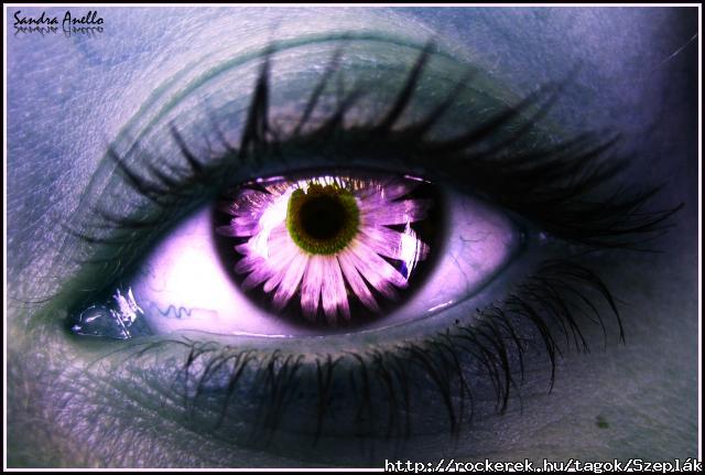 The eye of Elf