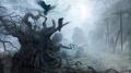 Dark-Forest-Crows