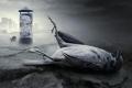 gothic wallpaper 165-837486
