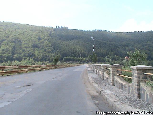 Zetelaki gton