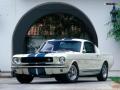 65` Shelby mustang