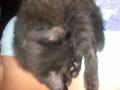 LuCiFeR alszik (: