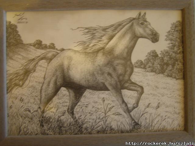 PC110007