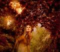 fairies