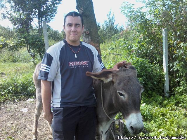 IMG141-01