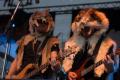 Akela koncert