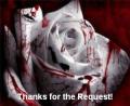 request