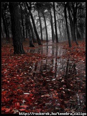 Dark_way