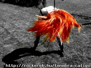 PhotoArt_04292012161431