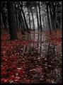 Dark_way