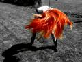 PhotoArt_04292012161431
