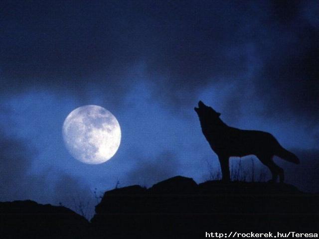 Night Wolf