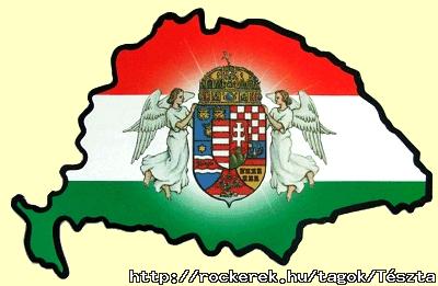 www.tvn.hu_e8518075e812c221b6b0679d2c143667