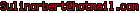 msn