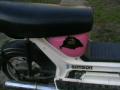 IMGA0860