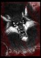 Torquemada. Vrfarkas a Requiem Vampire Knight c. kpregnybl