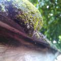 IMG_20130604_155837