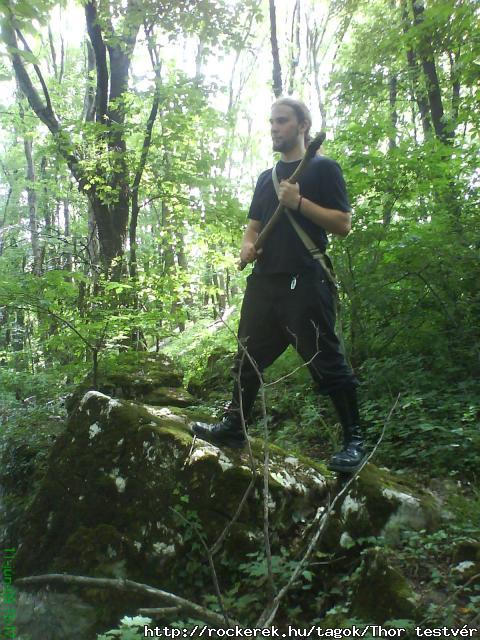 n az erdben