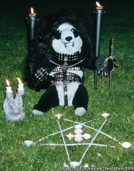 panda