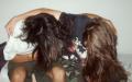 headbang