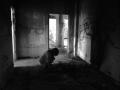 IMG_20140623_184343_932