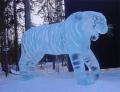 Tigris