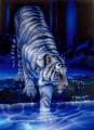 white_tiger