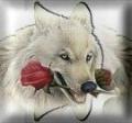Wolf and rose