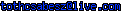 msn