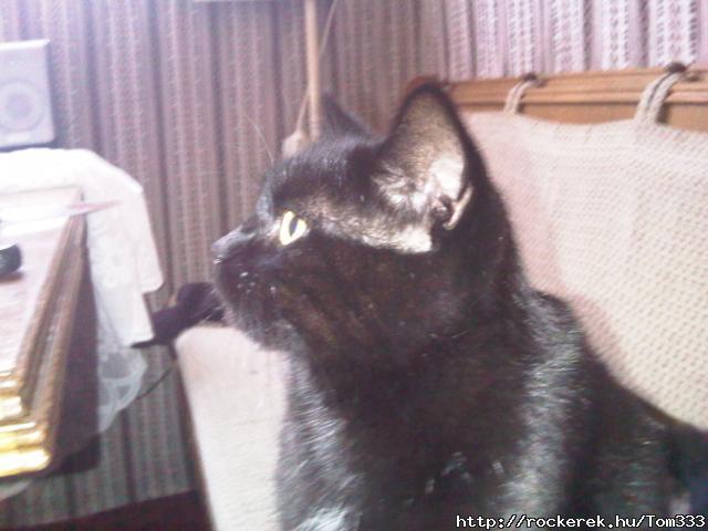 IMG00244-20091115-0945