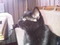 IMG00244-20091115-0945