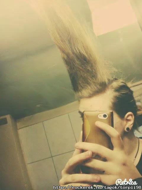4445