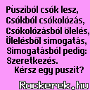 Puszibl