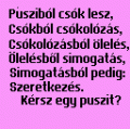 Puszibl