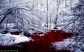 Blood River