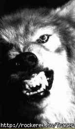 AngryWolf1