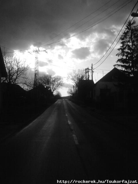 mer szp ^^