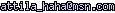 msn