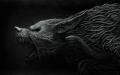 hd_wallpaper_20702