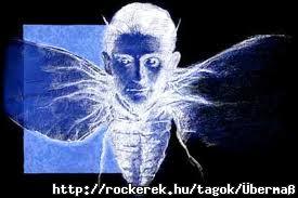 Franz Kafka - tvltozs ( alapm )