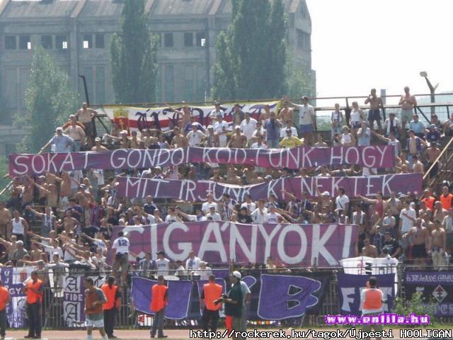 Cignyok!!!