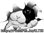 www.tvn.hu_8fb6f73942823227c7d370a3e5dbe015