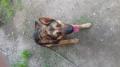 Freya #128525;