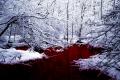 Gothic_Myspace_Graphics_287