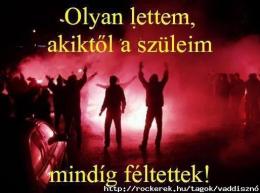 vaddisznó