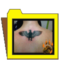 pipim (1)