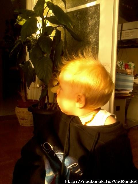Pici rockerem