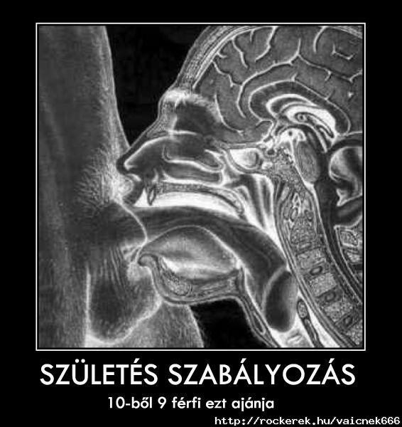 OLVASD EL...