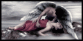 ezt_talaltam_a_halal_exangyala_utolso_fejezetehez_862364_18154_n
